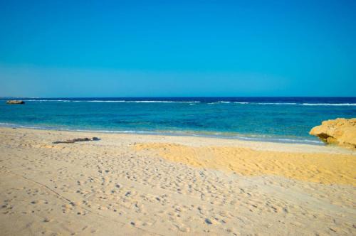 Marsa Alam Hotel | شاليه