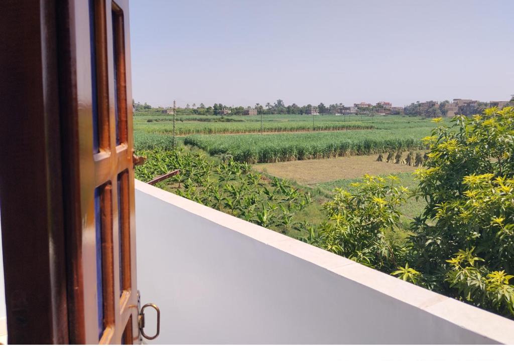 Luxor Apartment | فندق الحديقة