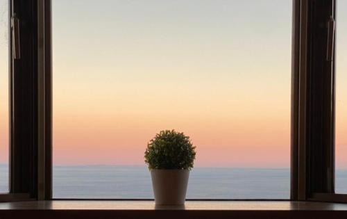 Ito Villa | シャイニングブルーIZU AWA Resort