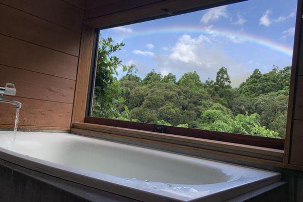 Yakushima Hostel | 屋久島 四季の宿