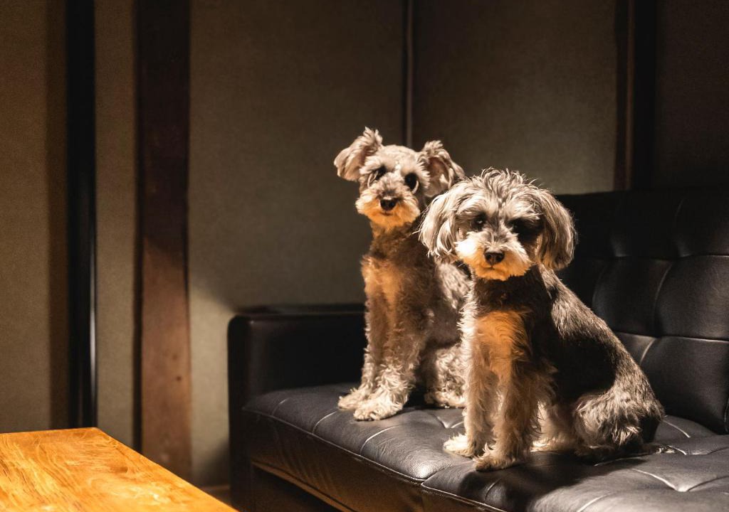 Matsue House | 犬2匹同伴可 松江日和 by HIYORISTAY