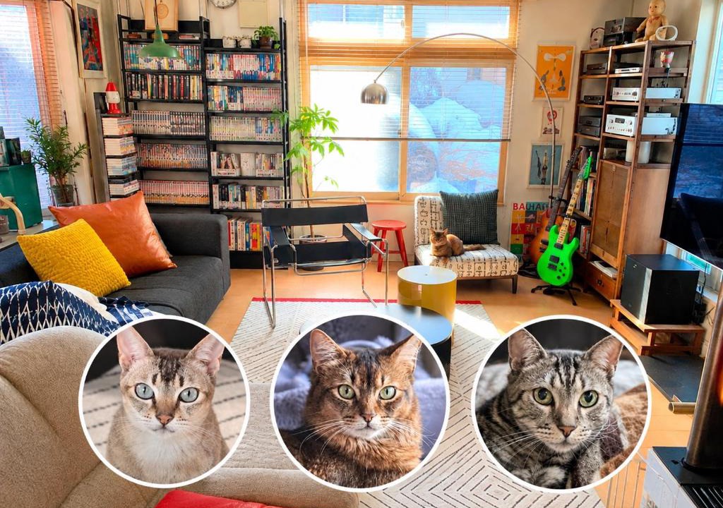 Nishi House | 猫と暮らす家 駐車場有English Español available 深夜のチェックイン対応