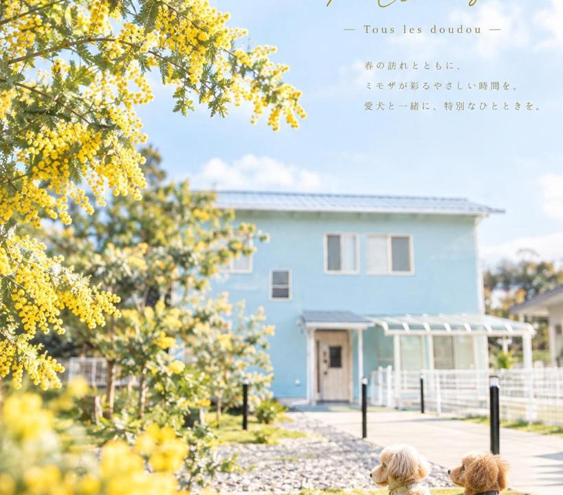 Yawatano Villa | 静岡 伊豆高原 ペットと泊まれるプライベートヴィラ Tous les doudouトゥレ ドゥドゥ