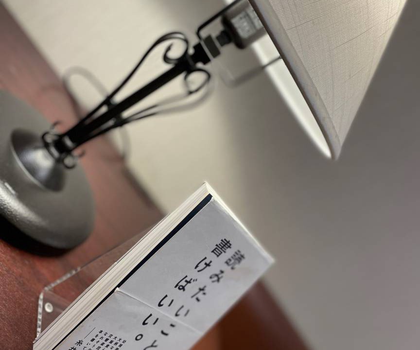 Jimbocho Hotel | 23 m² Hotel ∙ 1 bedroom ∙ 2 guests