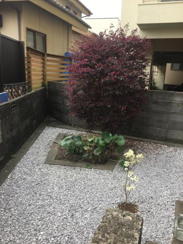 Miyazaki Bed & Breakfast | Accommodation Service B&B