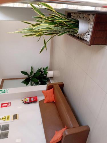 Tarapoto Hostel | Alojamiento Ahuashiyacu