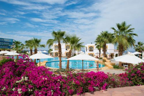 El Hadaba Resort | Amphoras Blu Ultra-All Inclusive Adults Only