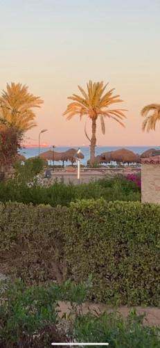 Ain Sokhna Villa | Beach Front Villa - Sea View - Ain Sokhna Red Sea فيلا على الشاطئ - إطلالة على البحر - الطابق الأرضي مع حديقة