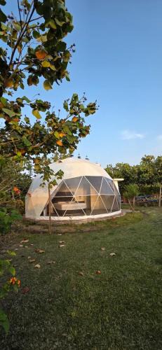 San Vicente de Canete Other | Biosol Ecocamp