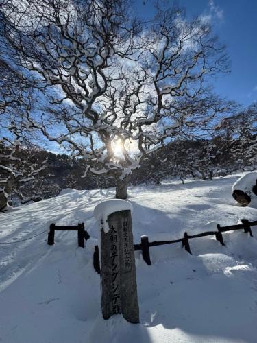 Kita Hiroshima Hotel | Blue Art Satoyama Retreat