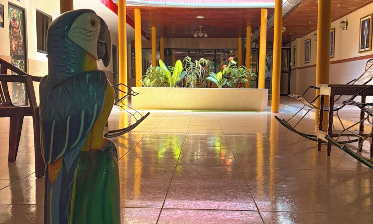 Iquitos Hostel | Casa del Jaguar