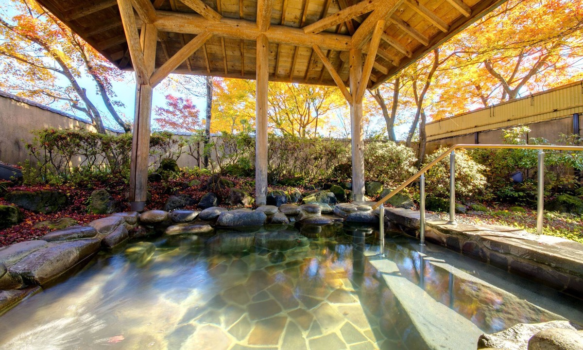 Agatsumakyo Onsen Hotel | Conifer Iwabitsu