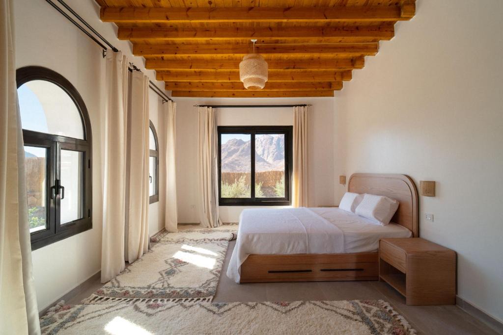 St. Catherine House | Dar Katrine