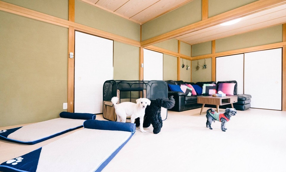 Katakai House | Detached private guest house with dog run nonsmo/Sambu-gun Chiba