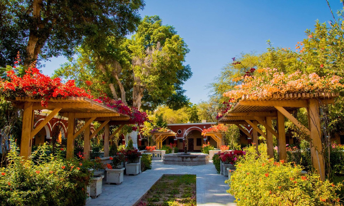 Huacachina Hotel | DM Hoteles Mossone Ica