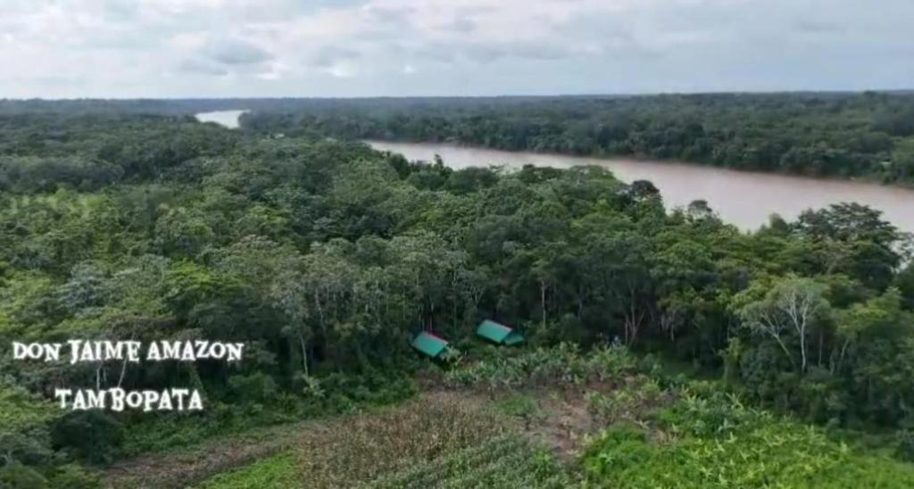 Tambopata Cabin | Don Jaime Amazon Lodge-Tambopata