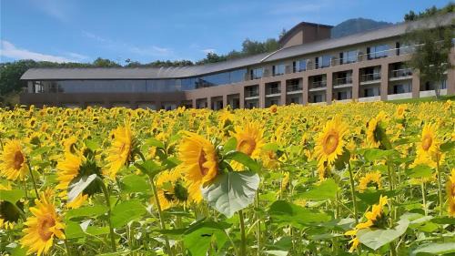 Furano Hotel | Furano Hotel 富良野ホテル