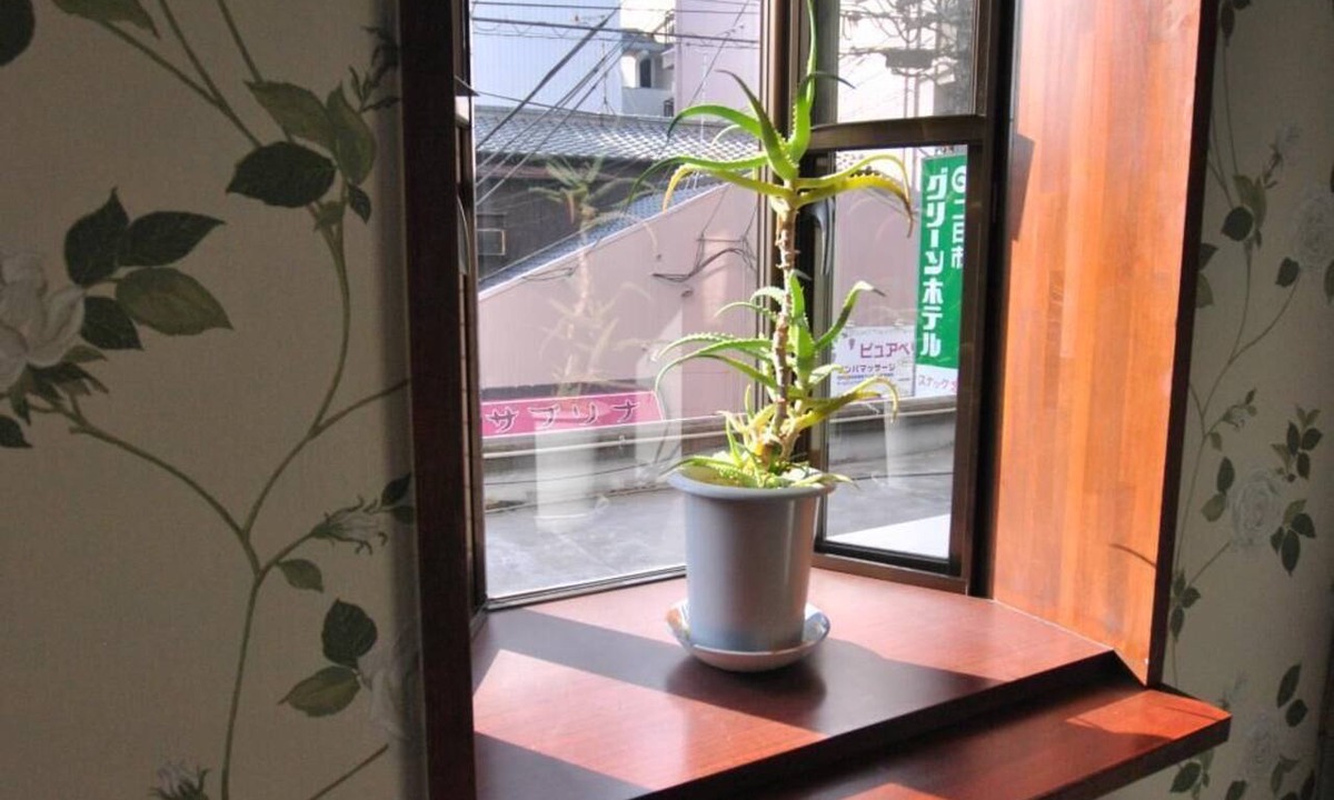Futsukaichi Hotel | Futsukaichi Green Hotel
