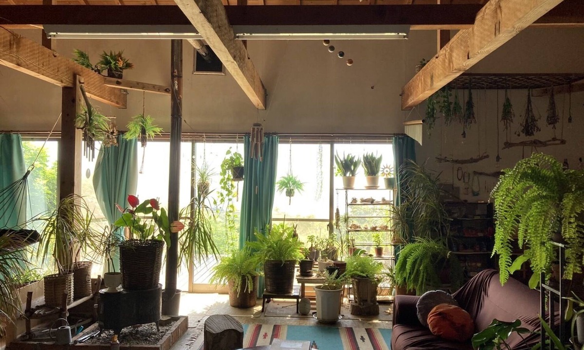 Hachijo House | Galaxy Guest House