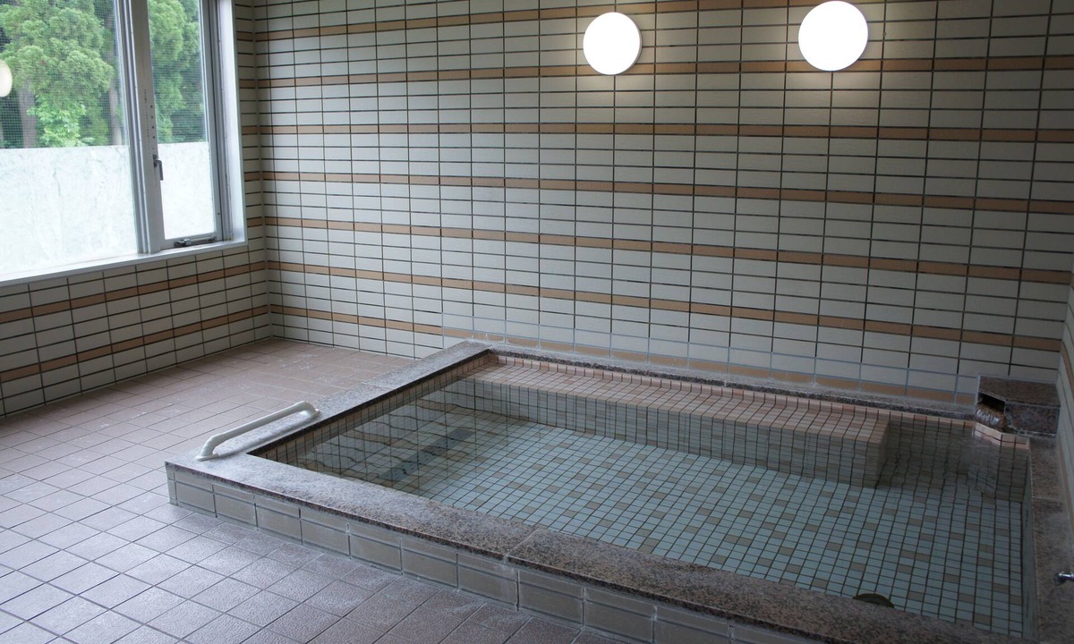 Gassan Shizu Onsen House | Gassan no yado kasiwaya