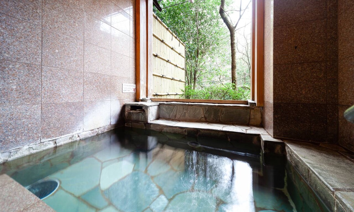 Gora Hotel | Gora Hotel PAIPU NO KEMURI