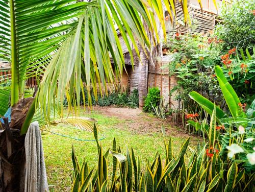 Mancora Hotel | Guayobungalows