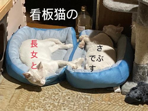 Yokkaichi House | Guest House Salt Beach