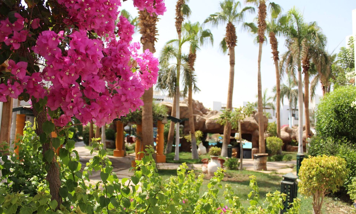 El Hadaba Apartment | Herrmes Hospitality