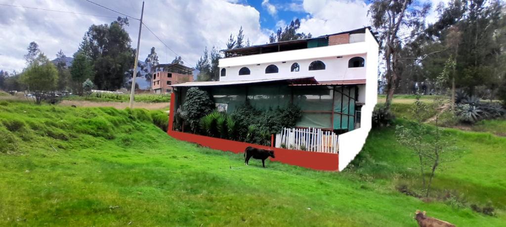 Independencia Hotel | Hostal Selena