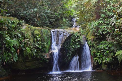 Manu Hotel | hot springs jungle