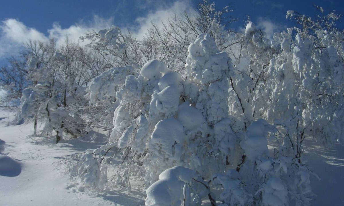 Ichinohe Hotel | Hotel Okunakayama Kogen