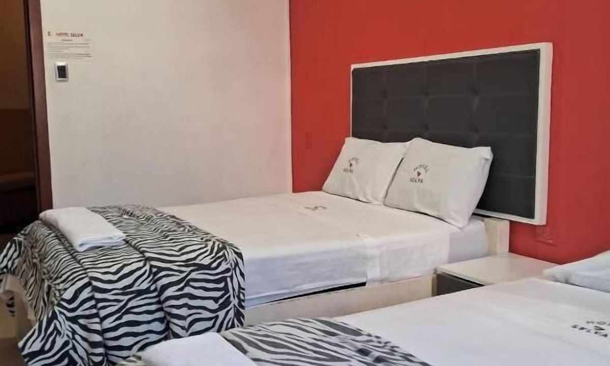 Iquitos Hotel | HOTEL SELVA