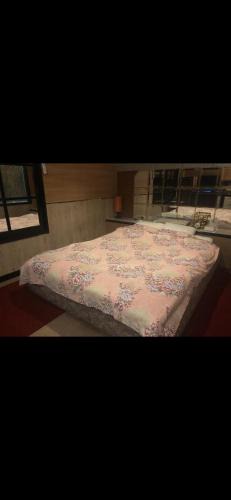 Yatsushiro Hotel | Hotel Sepia