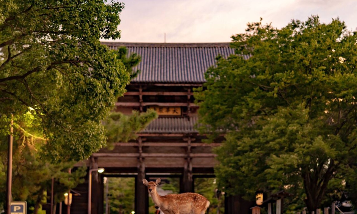 Nara Hotel | Hotel Tenpyo Naramachi