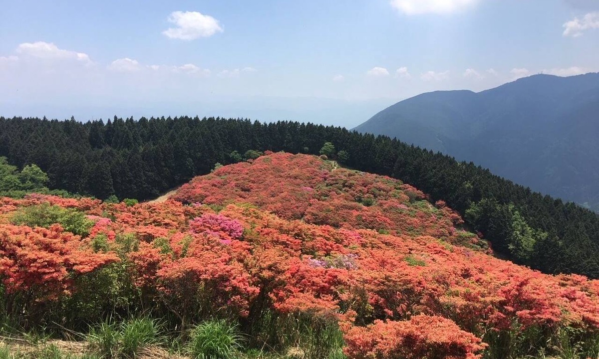 Yamatotakada Hotel | HOTEL WOO - Adults Only