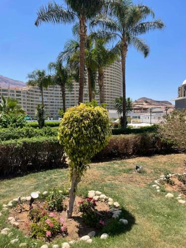 Ain Sokhna Ski Chalet | It is a Porto sokhna