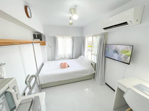 Kameari Apartment | Kameari 911 Newly Renovated Corner Room High Floor Near Station Mall Disney Access