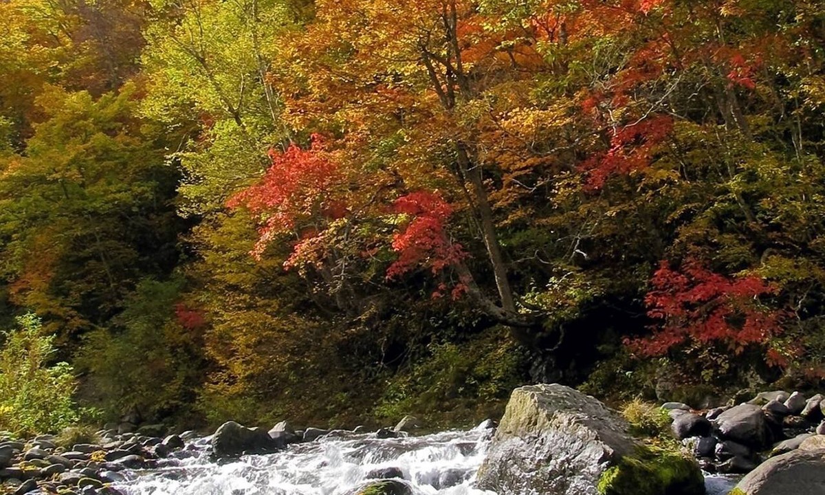 Shiga Highlands Hotel | Kidoike Onsen Hotel
