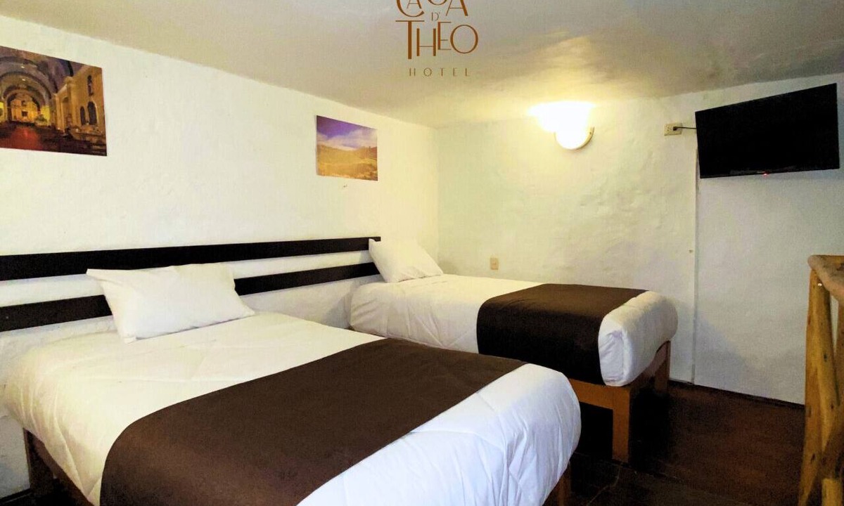 Historical Center Hotel | La casa de Theo
