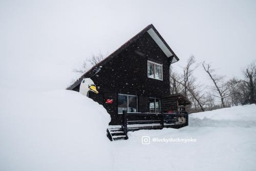 Akakura Onsen House | Lucky Duck Cabin Myoko