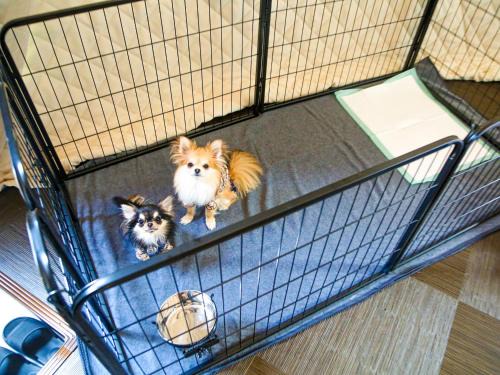 Eiheiji-cho Hotel | Lupo Forest "GRAN FOREST Echizen Miyama" - Vacation STAY 07123v