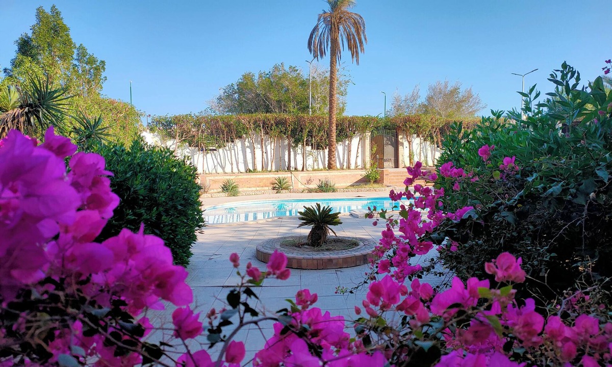 Al Mamsha El Seyahi Apartment | Lux Garden house pool WiFi Hurghada