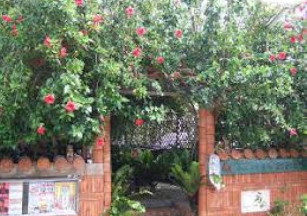 Kohagura House | Minshuku Itoman Garigari Oshiro - Vacation STAY 25712v