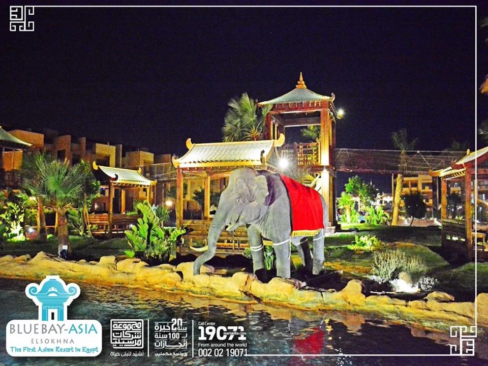 Zafarana Apartment | Mohamed Afifi BlueBay Asia - Families - Ground 2 Bed Rooms