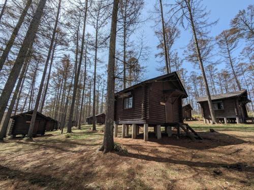 Nagano Other | Nagano Forest Village "former name: Iizuna Kogen C - Vacation STAY 42164v