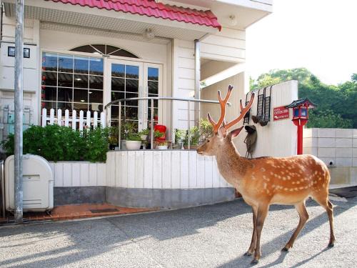 Nara Hotel | Nara - Hotel/Vacation STAY 47950