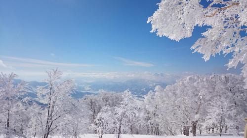Nozawaonsen Hotel | Nozawa Dream