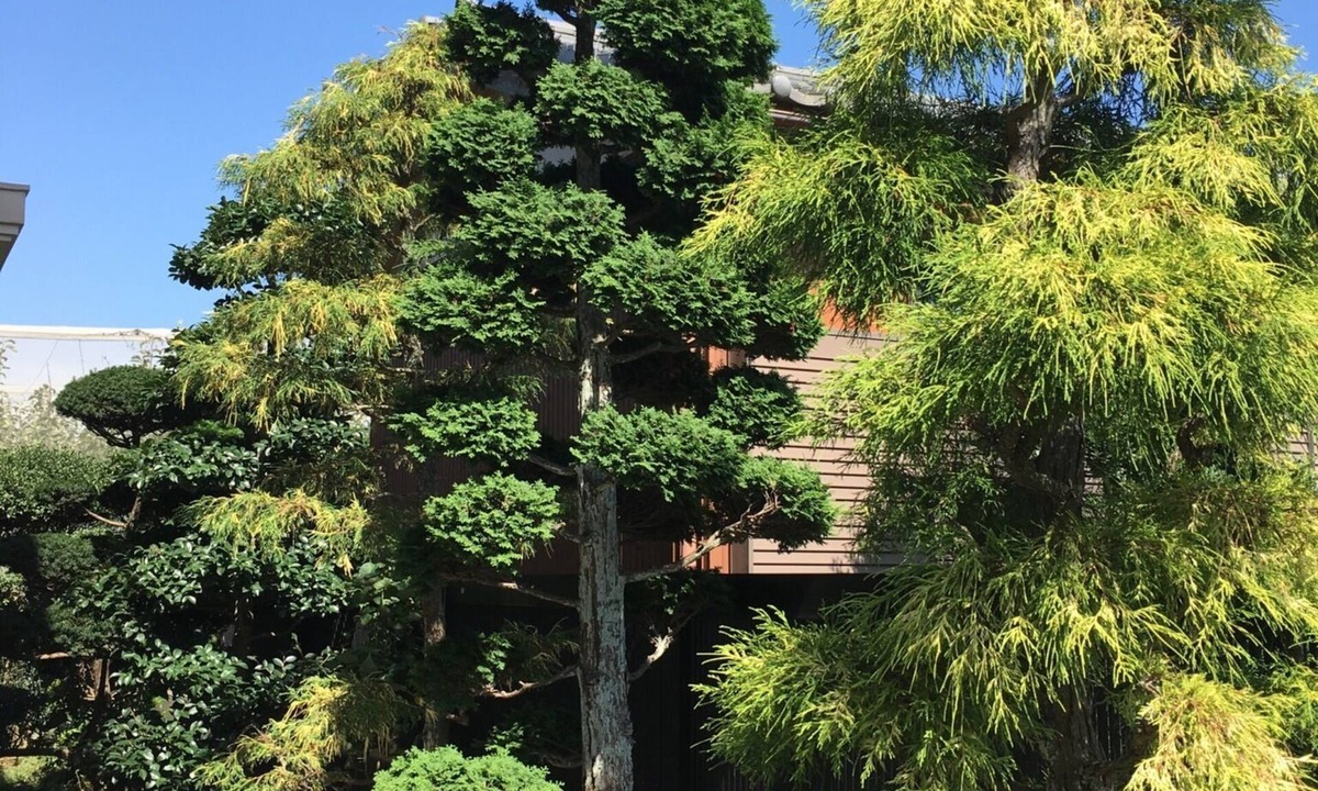 Kamagaya House | Open house - Green Pine House/Kamagaya Chiba