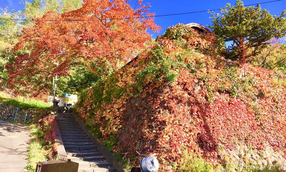Otaru Hostel | Otarunai Backpackers' Hostel MorinoKi