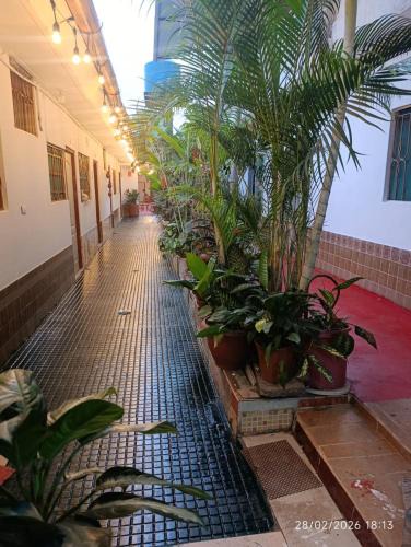 Tarapoto Hotel | Refugio Amazonico
